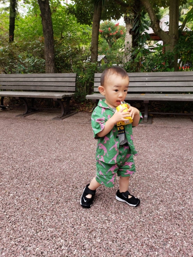 動物園コーデ